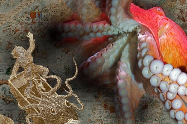 Kraken ссылка kraken torion