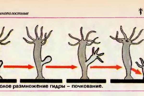 Как вернуть аккаунт кракен