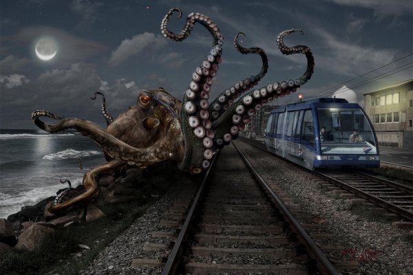 Кракен даркнет store kraken dark link