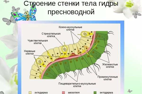 Найти ссылку на кракен