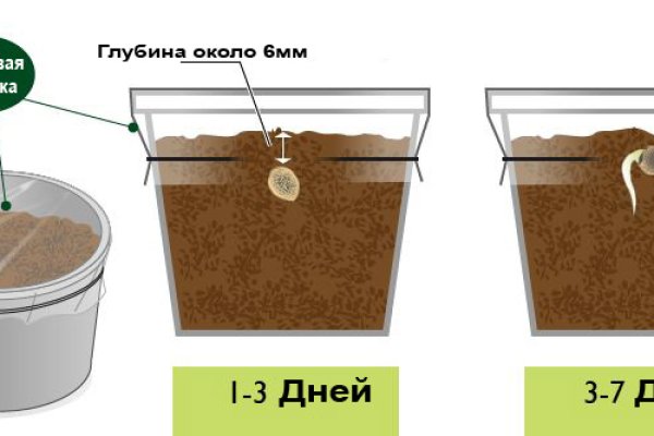 Как зайти в кракен через айфон